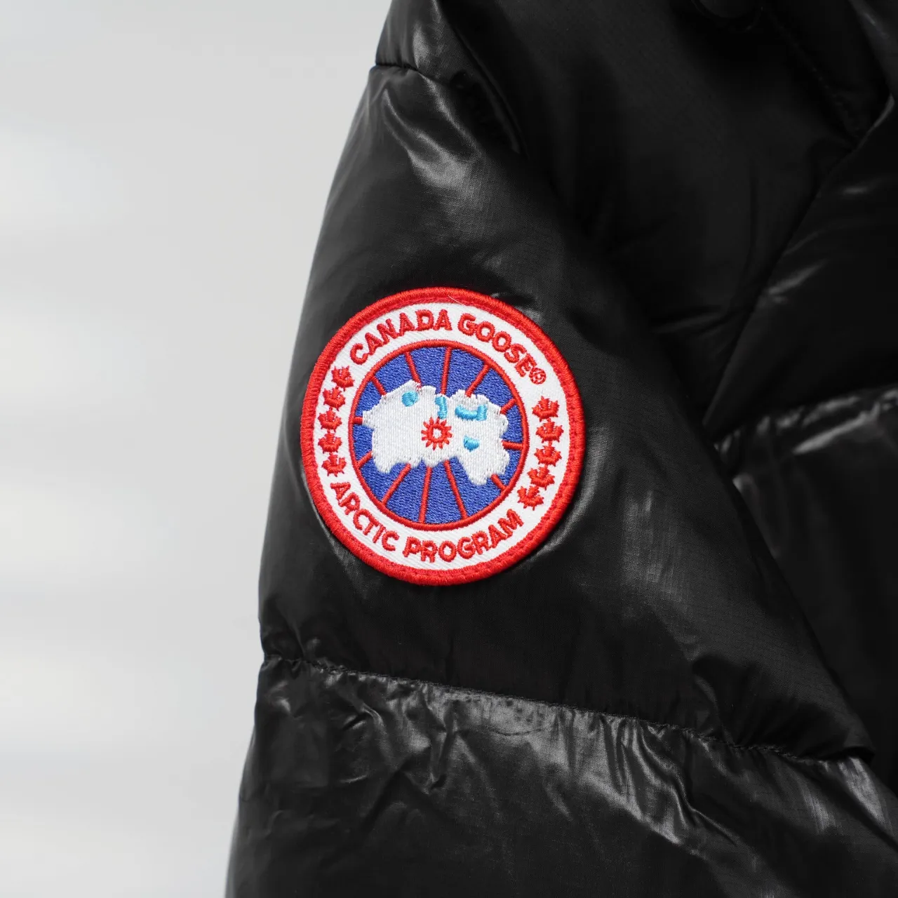 P960 CANADA GOOSE丨Canada Goose 2239L (women's) hooded down jacket Color: Black Size: XS-XXL